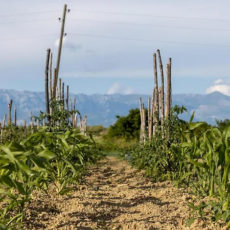 Bandela Сasa de vacaciones Visocane