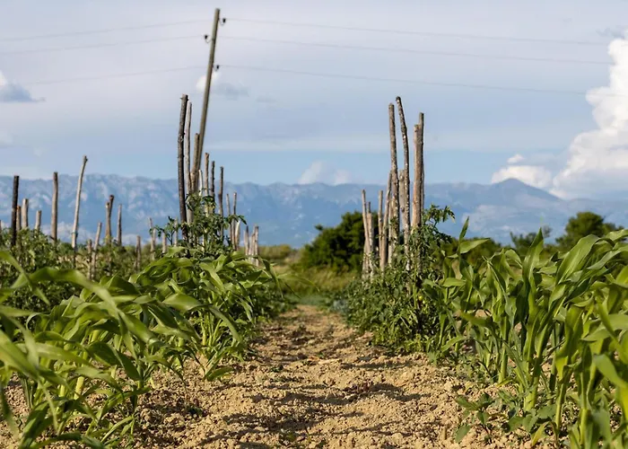 Bandela Ferienhaus Visocane